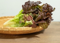 肉巻き用サニーレタス