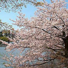 subLime サブライム 井の頭公園店のコース写真