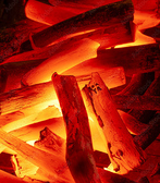 豚と炭火こぶた家 なんばパークス店の雰囲気2