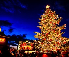 pesce&carne MIMOZA ミモザのコース写真