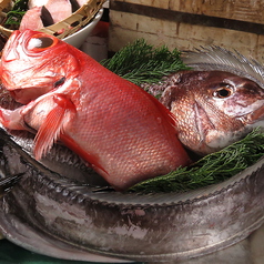 その日、港で揚がった魚の一番美味しい食べ方で♪