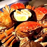 侑久上海 YUKYU SHANGHAI ゆうきゅうしゃんはいのおすすめ料理2