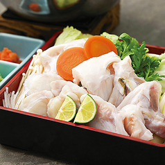 とらふぐ　てっちり