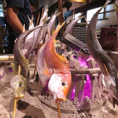 海真丸の特集写真