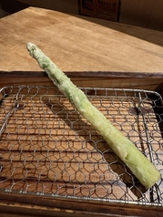 アスパラ
