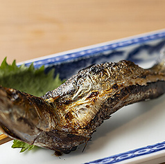 大羽イワシ
