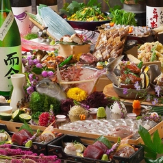 博多魚がし 海の路 天神店のコース写真