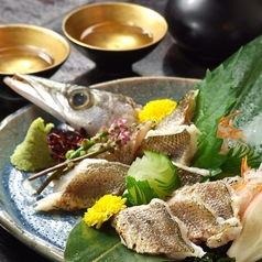 長崎産 カマス