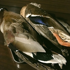 【おすすめ】諫早鉄砲鴨