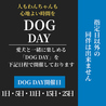 晩酌家ここのおすすめポイント3