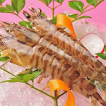 熊本県魚の車海老のおどりor塩焼きです！ 熊本が誇る天草の逸品です！