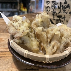 舞茸