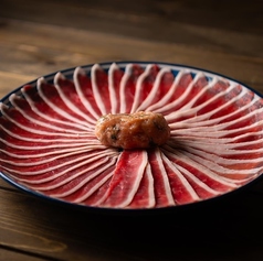 トリカモメ 鶏と鴨と麺 大曽根本店のおすすめポイント1
