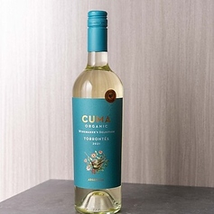 ミッシェルトリノ クマ オーガニック トロンテス