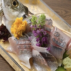 活鯵(アジ)姿お造り