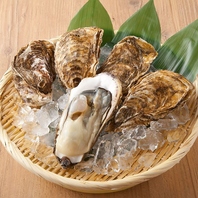 リニューアルOPEN記念！産地直送の広島県産牡蠣が半額！