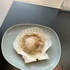 北海道噴火湾産ホタテ(1個)