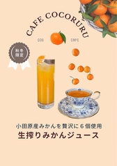 ドッグカフェ COCORURU ココルルのおすすめドリンク1