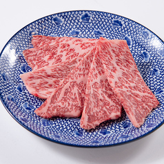 上赤身