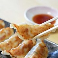 餃子のミンチは紀州梅そだち糸島産うめぶたを使用！