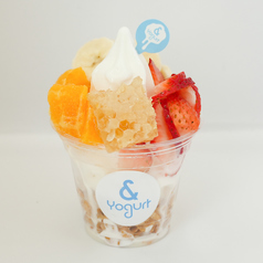 & Yogurt アンドヨーグルト 横浜店の特集写真