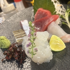 杜季 ときの特集写真