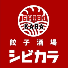 餃子中華酒場 シビカラ 天神店のコース写真