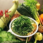 自社で栽培した野菜は朝採れのものをその日のうちにお店までお届け！野菜にトコトンこだわっています