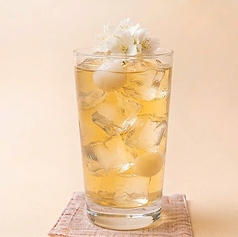 烏龍茶/緑茶/ジャスミン茶