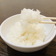 白ごはん