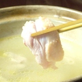 料理メニュー写真 鶏の水炊き