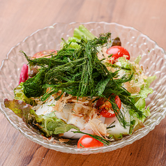 すじ青のりと豆腐のサラダ