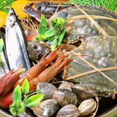 素材×旬へのこだわり！朝獲れ&昼網鮮魚を毎日仕入れ★