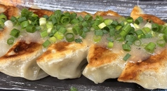 ネギ塩たれ餃子