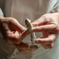 伝統と高い技術力で仕上げた自慢の天ぷら