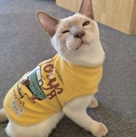 「そっと見守る時間」を大切に