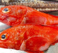 季節に応じた北海道食材がもりだくさん！