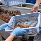 かわはぎ亭 博多のおすすめ料理3