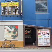 信州焼肉 マルカジリ 長野駅前店の雰囲気3