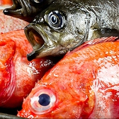 全国各地からこだわりの新鮮な旬魚を仕入れています。こだわりを持って作った料理の味に、リピーター続出となっています。