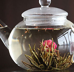 丹桂百合（タンケイユリ）