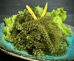 沖縄特産　【グリーンキャビア】海ぶどう