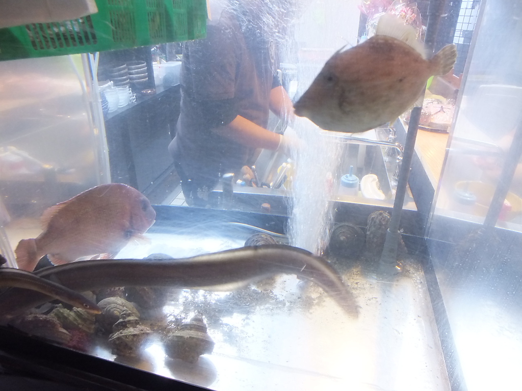 瀬戸の鮮魚は生簀で管理もしております