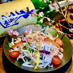 春の有機野菜明太子ソースかけ桜えび大根サラダ