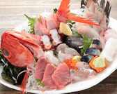 三浦の地魚と蕎麦 海わ屋