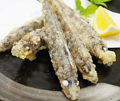 目光唐揚げ/かにクリームコロッケ 各種