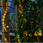 18種類のドリンクをお楽しみ頂けます！楽しい乾杯を♪