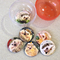 可愛らしいグッズも