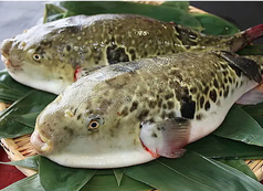 姫路和屋 武蔵 たけぞうのコース写真