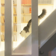 漫画もいっぱいある